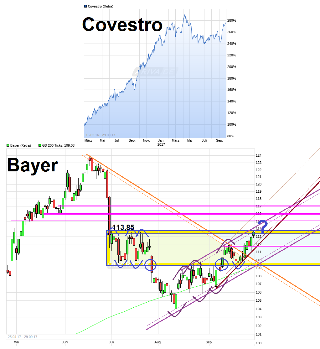 chart_free_bayer.png