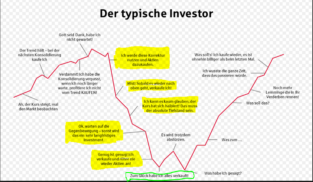 fehlverhalten_investoren.png