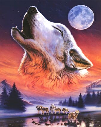 anonymous-howling-wolf-9908373.jpg