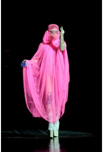 lady-gaga-mit-pinker-burka_100061.jpg