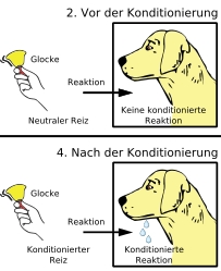 pawlowscher_hund.jpg