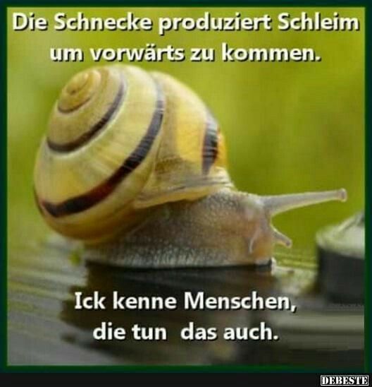 bbd6c8d03878fce67c6d2bb8118fea71.jpg
