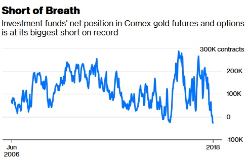 gold-shorts_on_top_2018-07.jpg