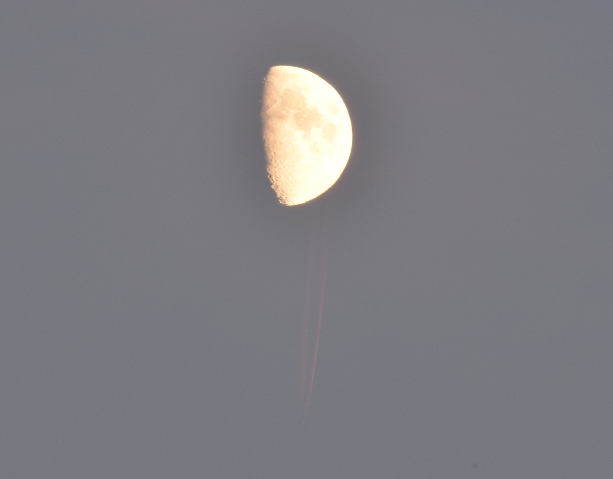 mond-03.jpg