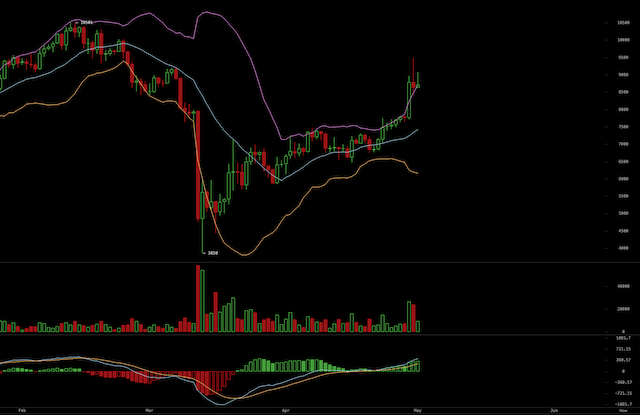 btc_chart_.png