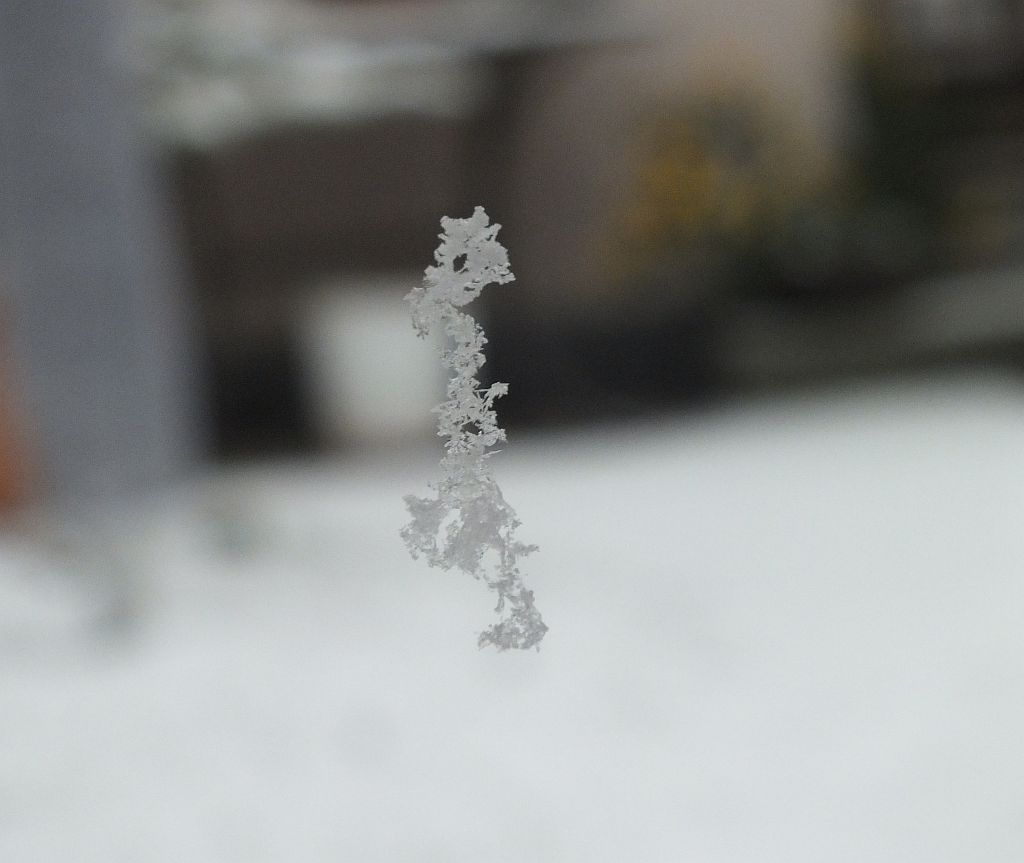 schneeflocken_am_spinnenfaden.jpg