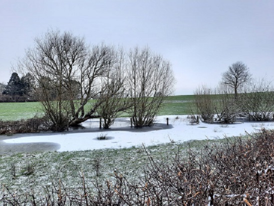 winterlandschaft.jpg