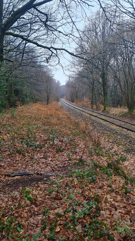 bahnschienen.jpg