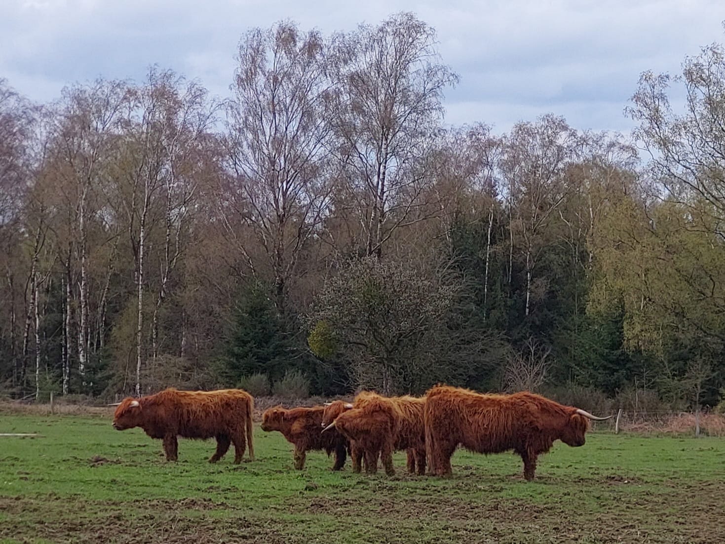 belgische_ardennen.jpg