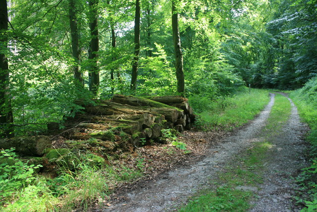 holz_an_wegesrand.jpg