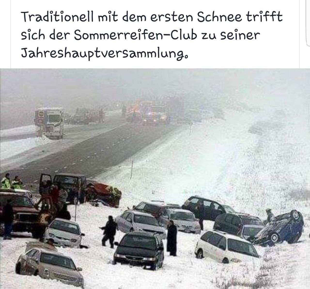 schneefall_jahreshaupt.jpg