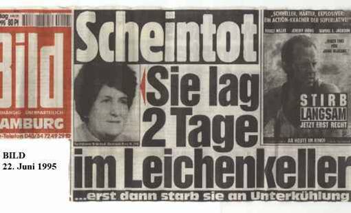 bild6.jpg