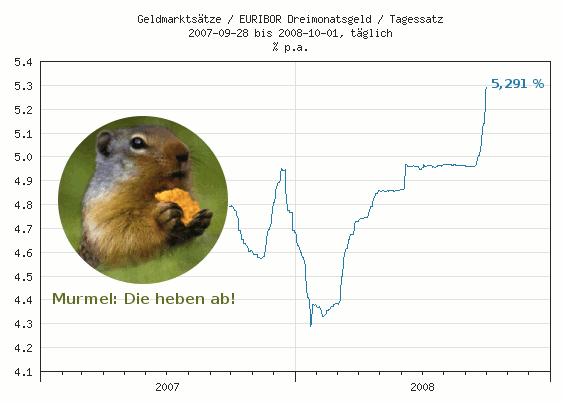 murmel-1.gif