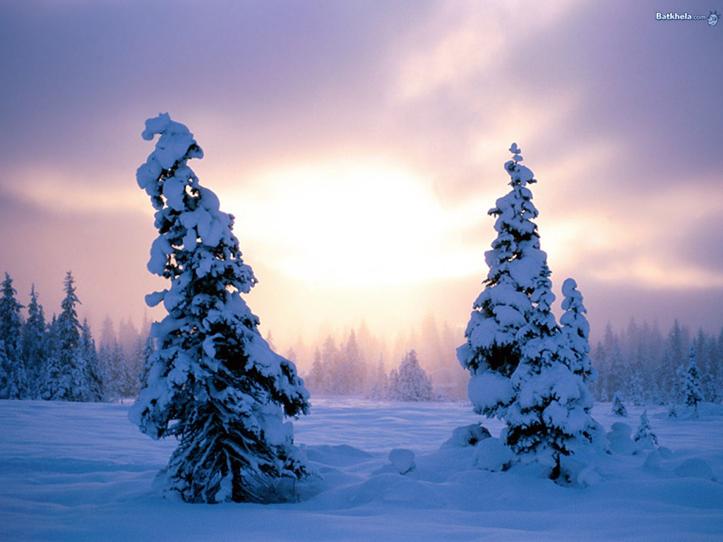 winter_003.jpg