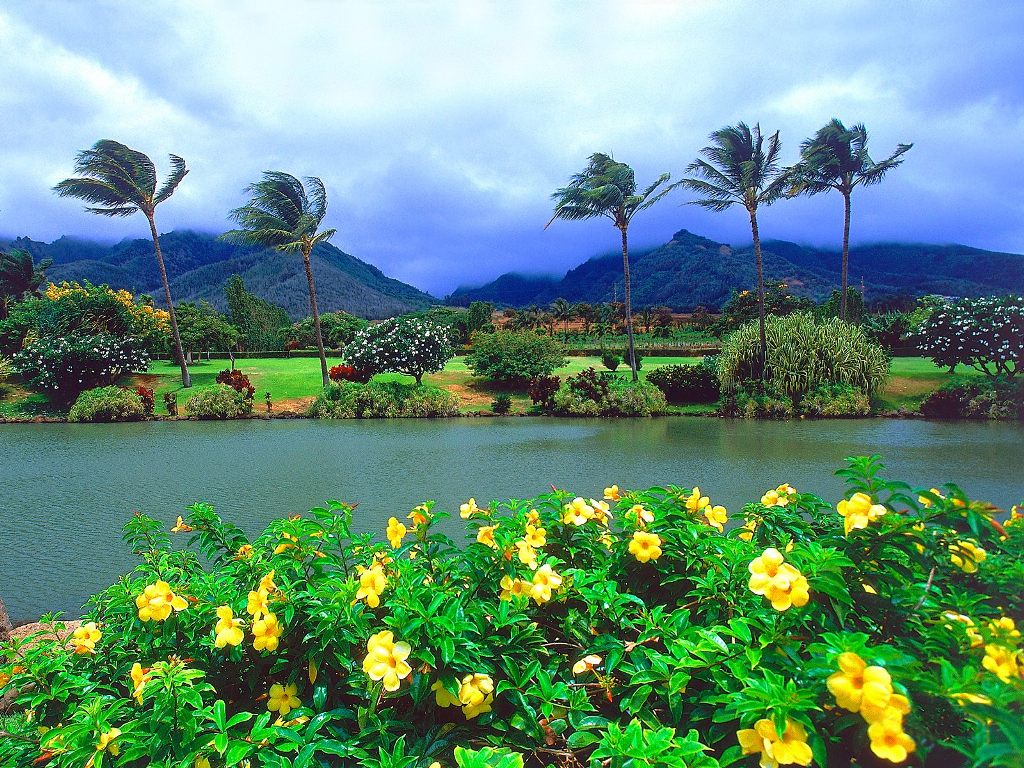 maui_20tropical_20plantation__20hawaii.jpg