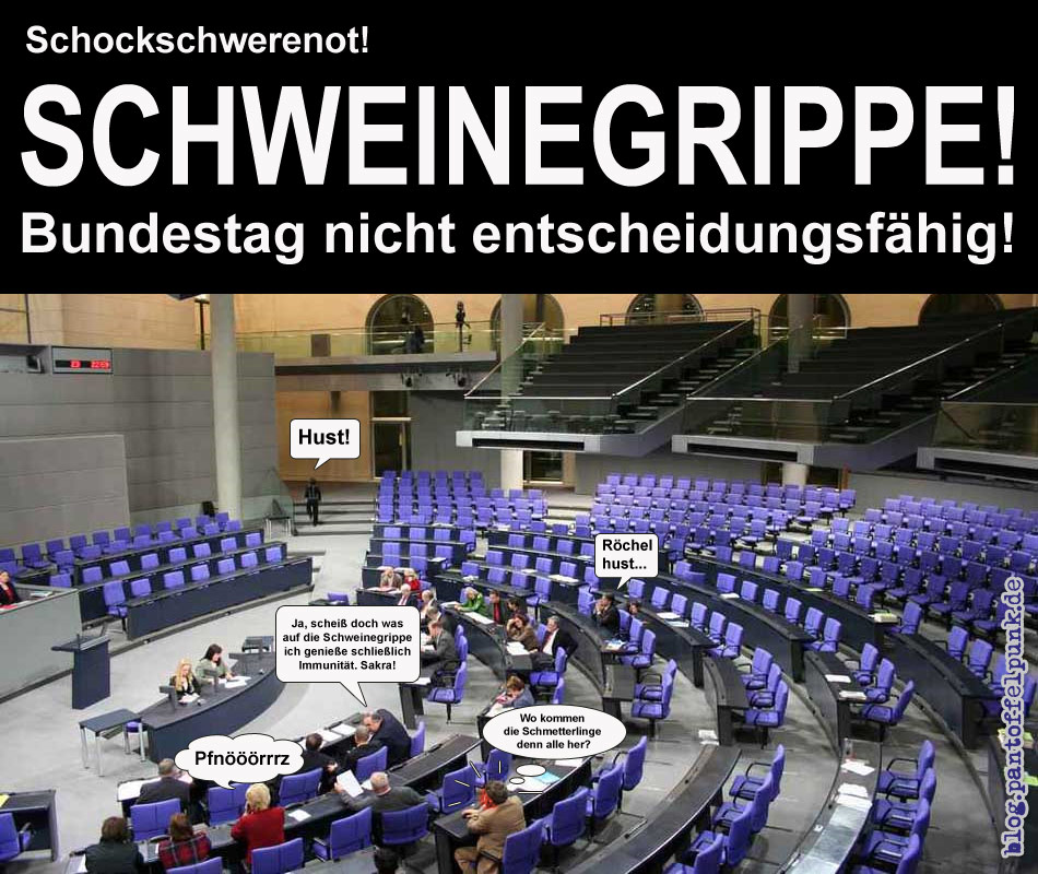 schweinegrippe-bundestag.jpg