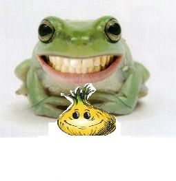 lzwiebel_frosch.jpg