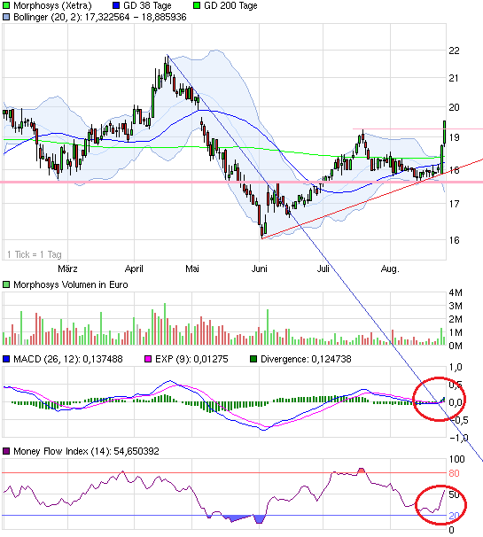 chart_halfyear_morphosys.png