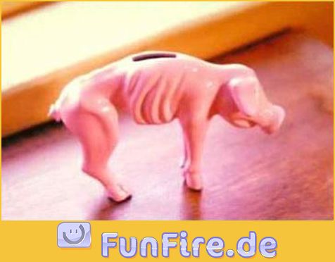 armes-schweinchen.jpg