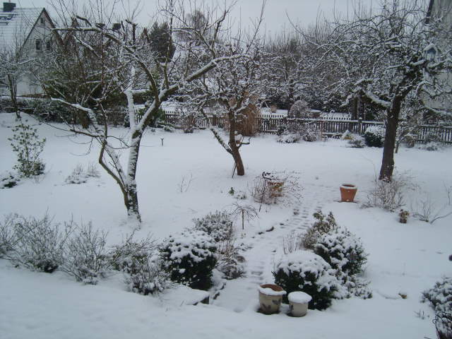 garten_im_winter.jpg