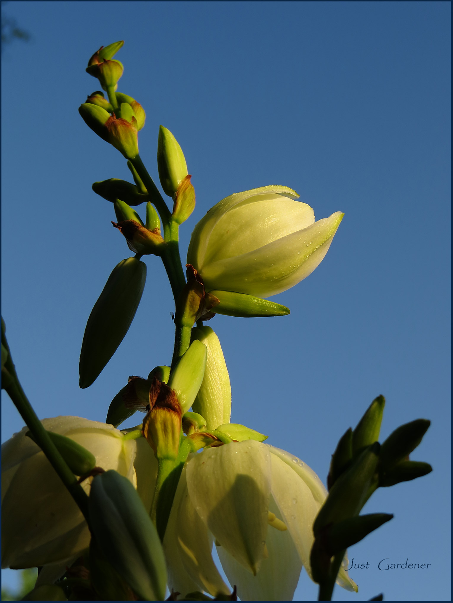 morgenstimmung-03.jpg