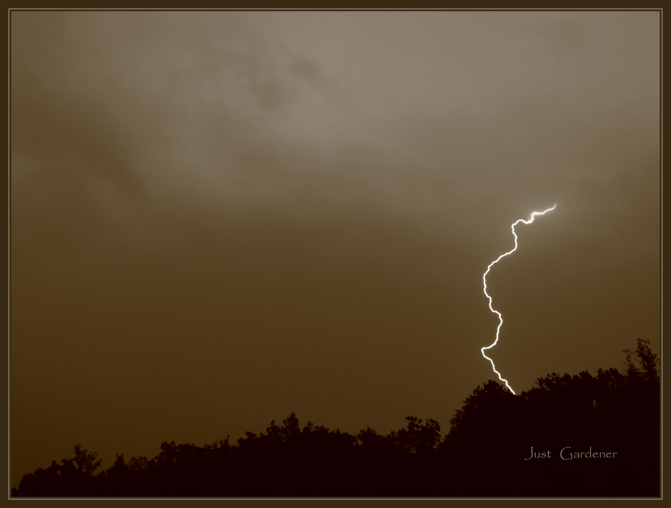 blitz-an-sepia.jpg