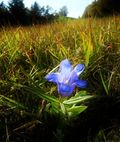 p1010151.jpg