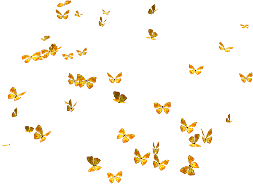 butterfly-png-23.png