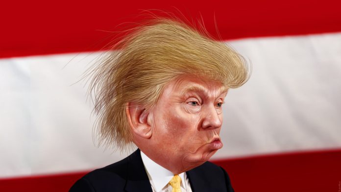 donald-trump-flickr-cc-696x392.jpg