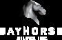  » Bayhorse Ships High Grade Metallurgical Samples To Smelters And Refiners