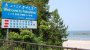	Rekorddosis Cäsium gemessen: Fische vor Fukushima schwer verseucht - n-tv.de