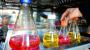 Biotechunternehmen: Morphosys weitet Arzneiforschung aus - Industrie - Unternehmen - Handelsblatt