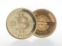 Bitcoins: Die Blase wird platzen - wie die Tulpenblase im Jahr 1637 - Medien - Tagesspiegel