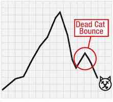 dead-cat-bounce.jpg