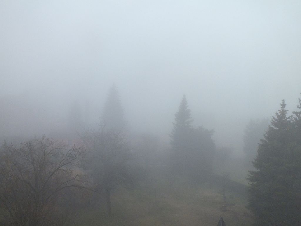 nebel03.jpg
