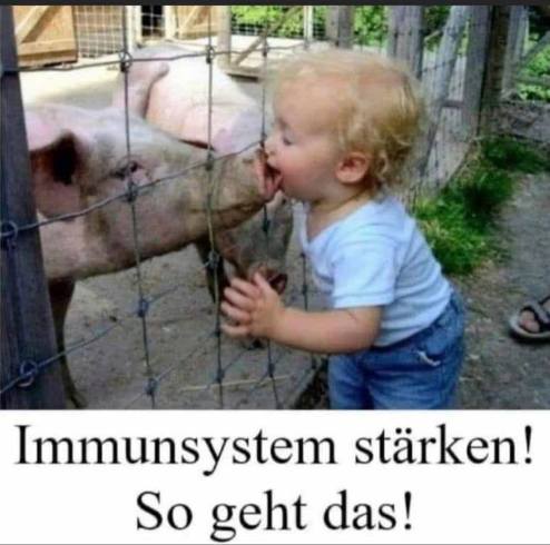 immunsystem_st__rken.jpg