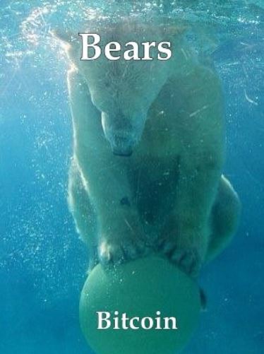 bearskeeponbuthowlong.jpg