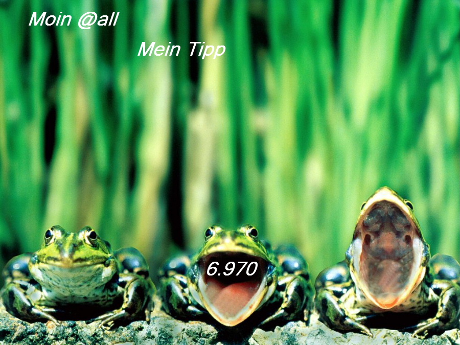 three_green_frogs_8499_1024_768--.jpg
