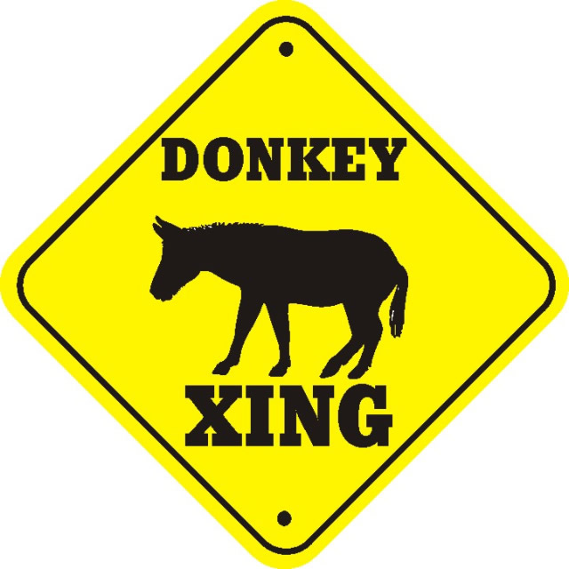 donkey_xing_thumb_640.jpg