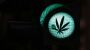 Cannabis-Freigabepläne: Ampel will schnell THC-Grenzwert für Straßenverkehr festlegen - DER SPIEGEL