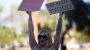Drakonisches Abtreibungsverbot von 1864 steht in Arizona auf der Kippe - DER SPIEGEL