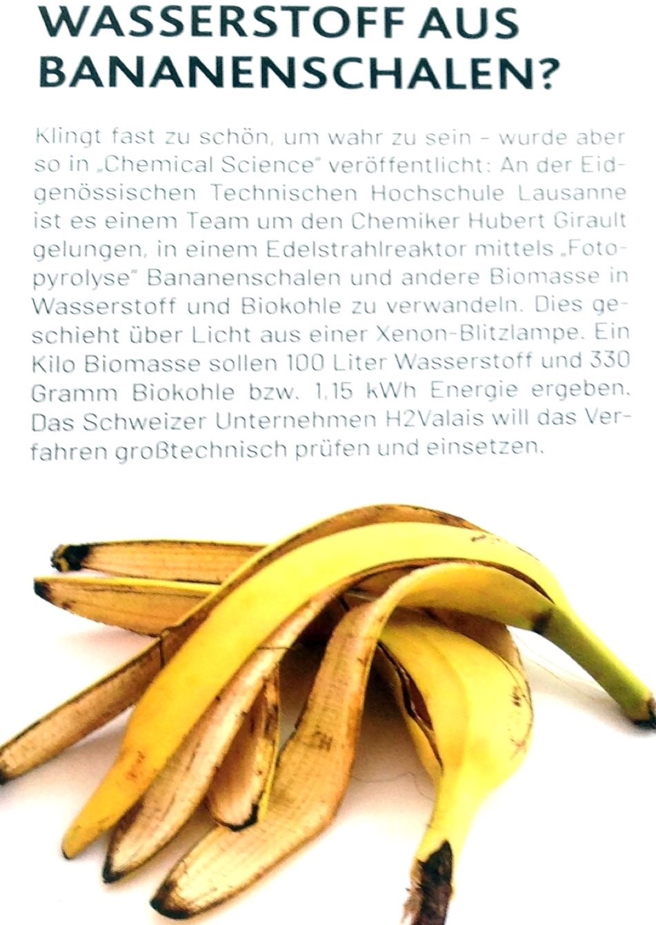 wasserstoff_aus_bananenschalen_2.jpg