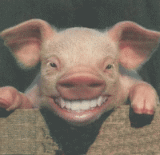 lachendesau.gif