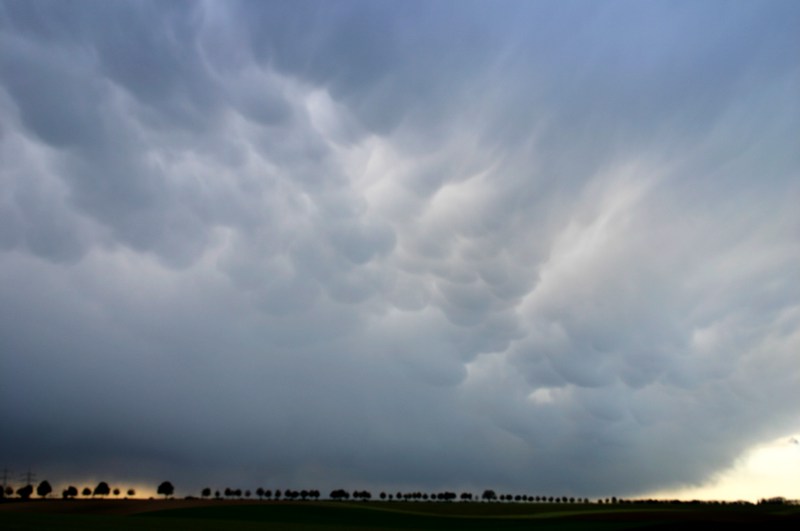 mammatus1.jpg