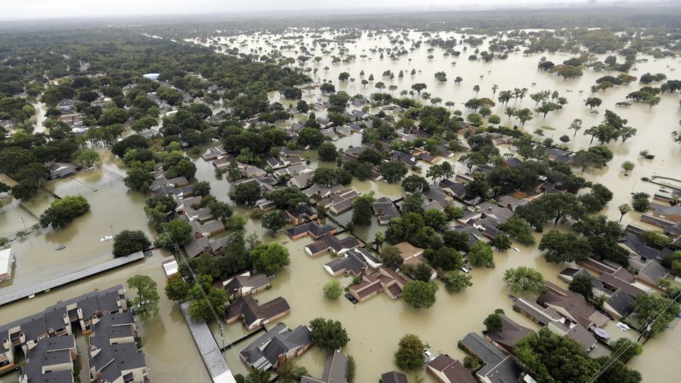 harvey.jpg