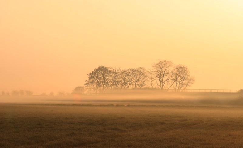 nebel1.jpg