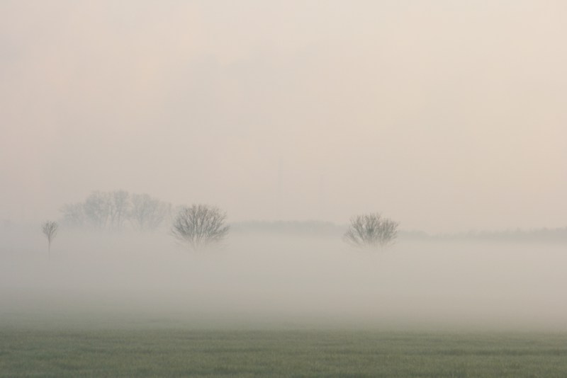 nebel2.jpg