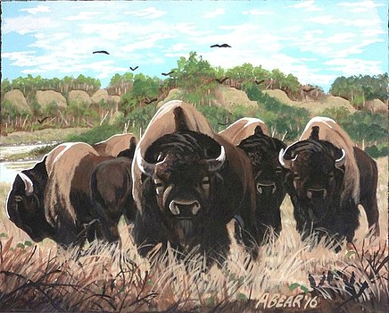 bachelorbison-anthony-bear.jpg