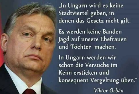 orbi.jpg