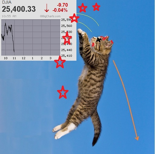 cat-03-kh0372-01p.jpg